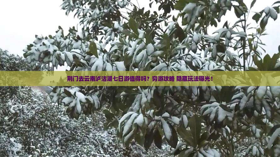 荆门去云南泸沽湖七日游