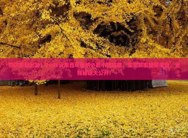 鄂尔多斯去云南西双版纳旅游小吃