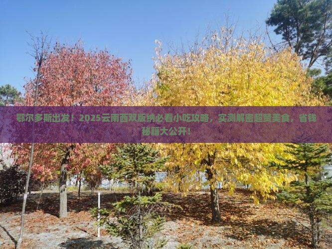 鄂尔多斯去云南西双版纳旅游小吃