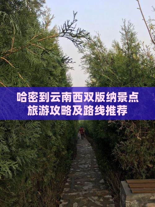 哈密到云南西双版纳景点