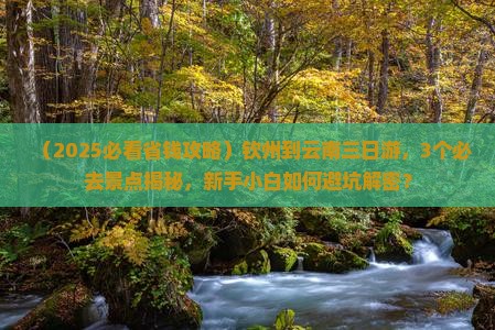 钦州到云南三日游