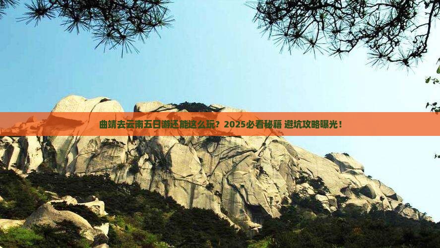 曲靖去云南五日游