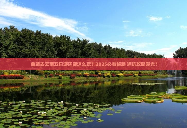 曲靖去云南五日游