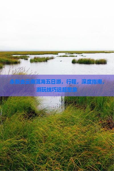 永新去云南洱海五日游