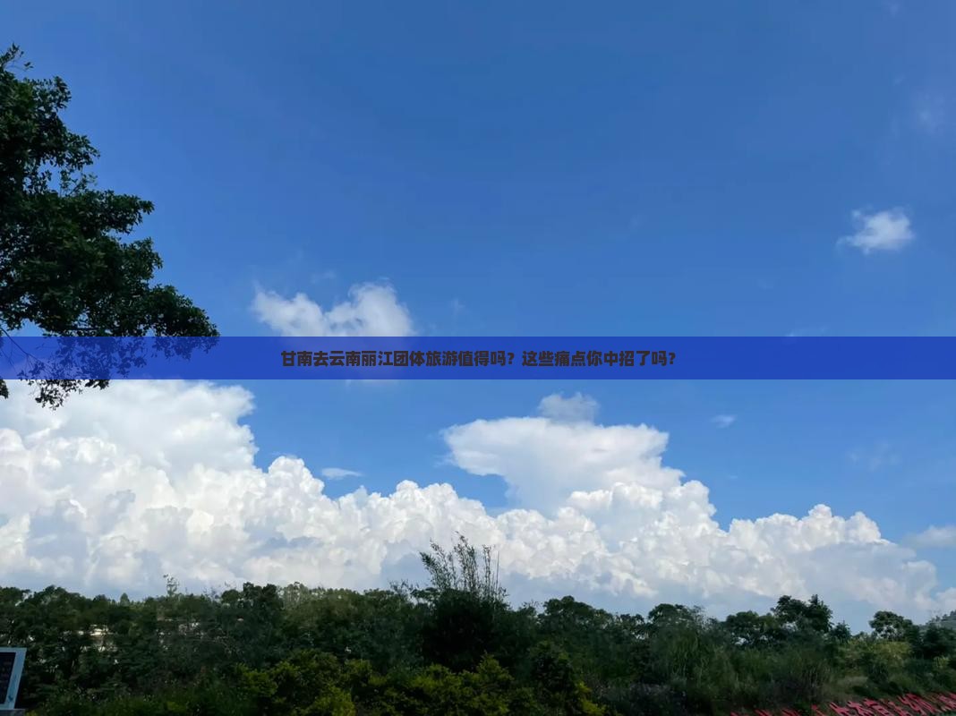甘南去云南丽江团体旅游
