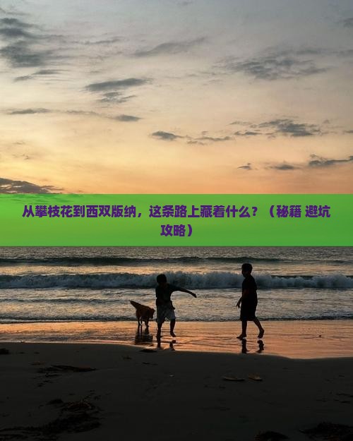 攀枝花去云南西双版纳必去地