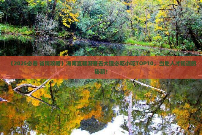 海南省直辖去云南大理旅游小吃