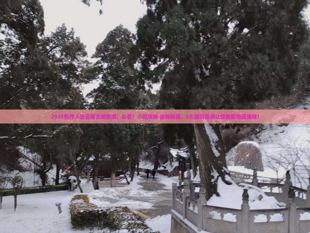 焦作去云南古城旅游小吃 焦作去云南古城旅游小吃