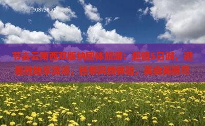 中秋节去云南西双版纳团体旅游