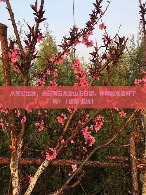 芜湖去云南玉龙雪山五日游