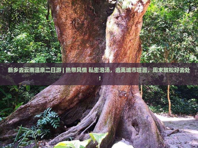 新乡去云南温泉二日游