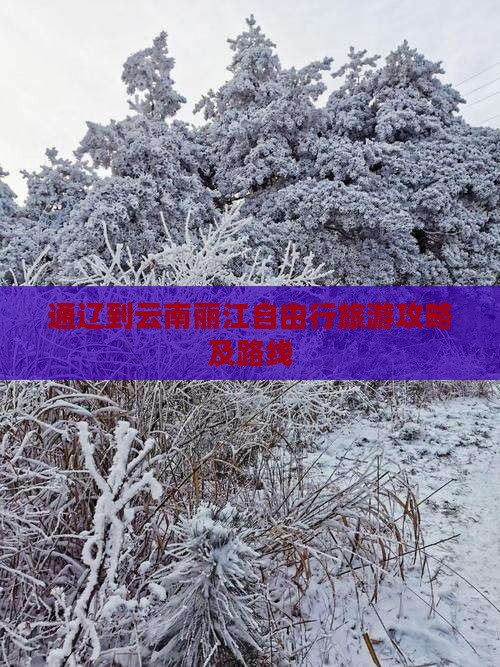 通辽到云南丽江自由行