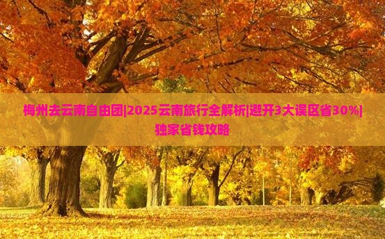梅州去云南自由团