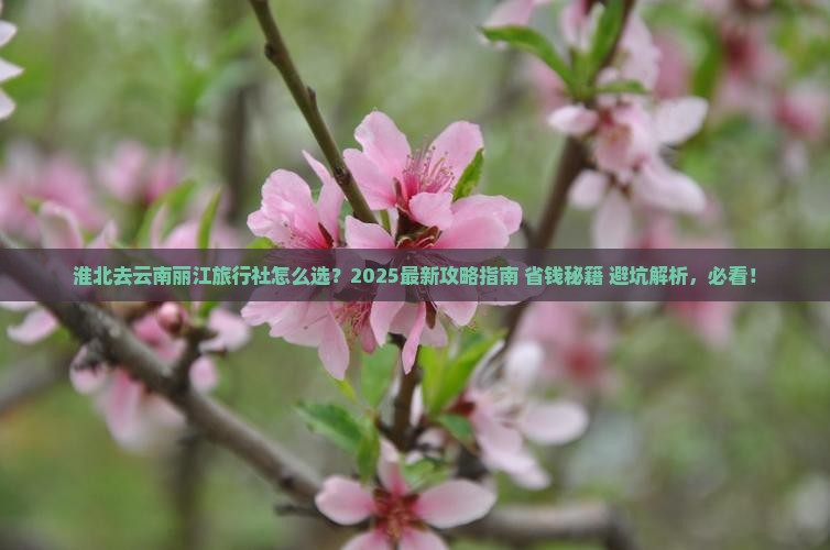 淮北去云南丽江旅行社 淮北去云南丽江旅行社