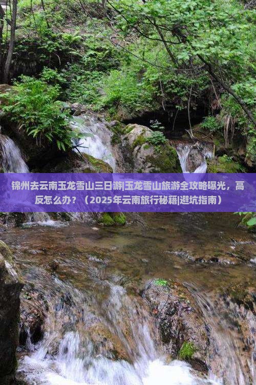 锦州去云南玉龙雪山三日游
