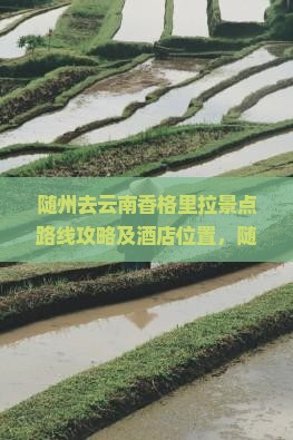 随州去云南香格里拉景点