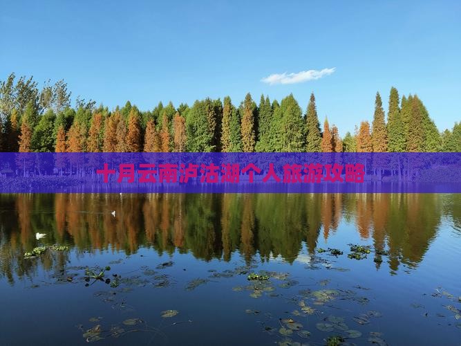 十月去云南泸沽湖个人游