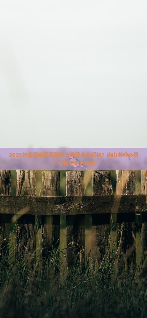 唐山去云南西双版纳景点