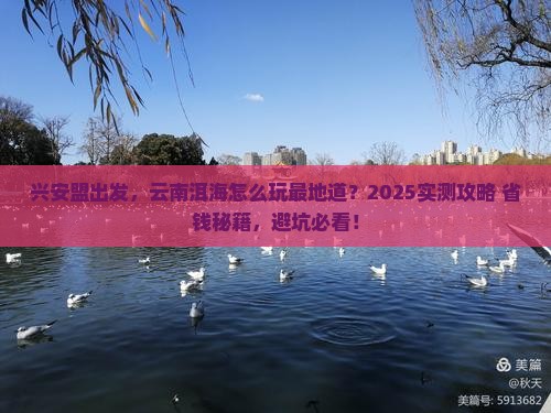 兴安盟到云南洱海哪里玩