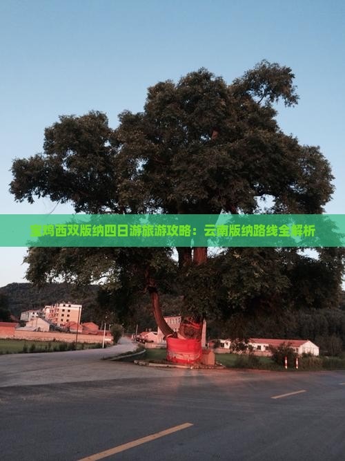 宝鸡去云南西双版纳四日游