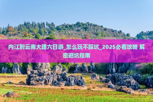 内江到云南大理六日游