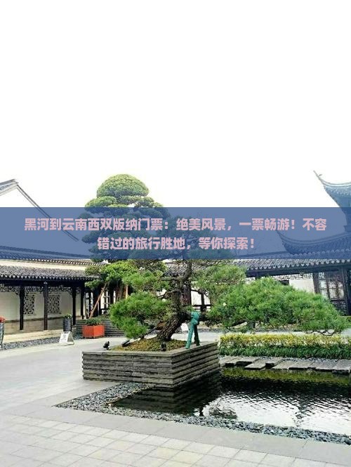 黑河到云南西双版纳门票