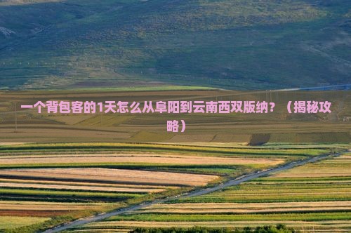 阜阳到云南西双版纳一日