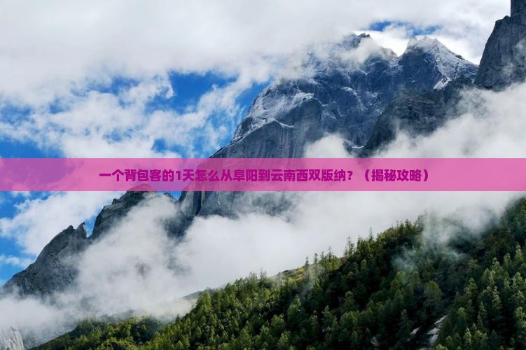 阜阳到云南西双版纳一日