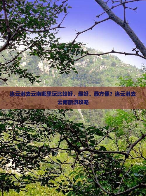 连云港去云南哪里玩