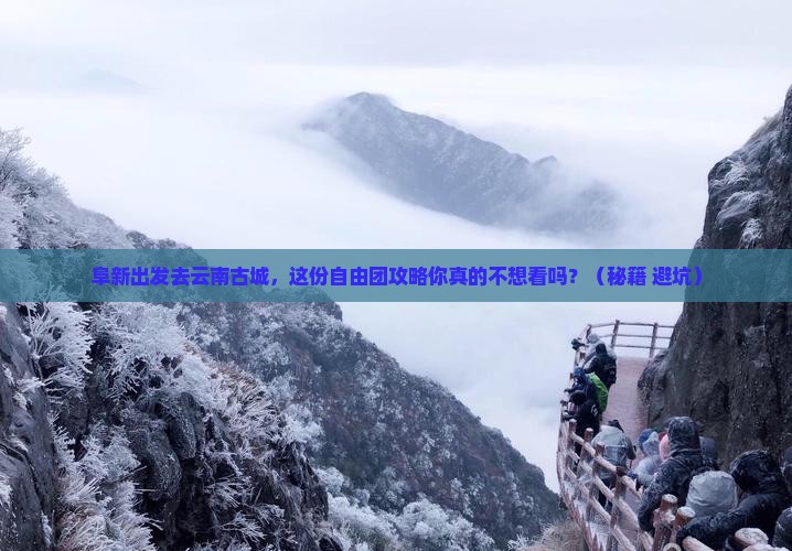 阜新去云南古城自由团