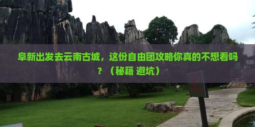 阜新去云南古城自由团