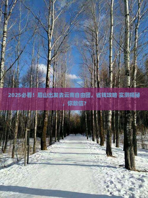 眉山去云南自由团