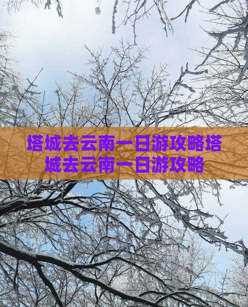 塔城去云南一日