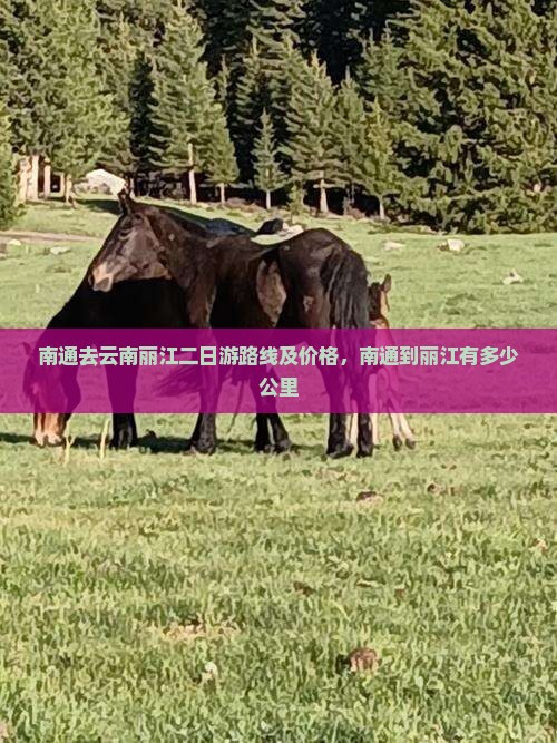 南通去云南丽江二日游
