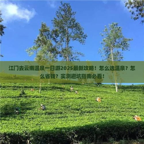 江门去云南温泉一日