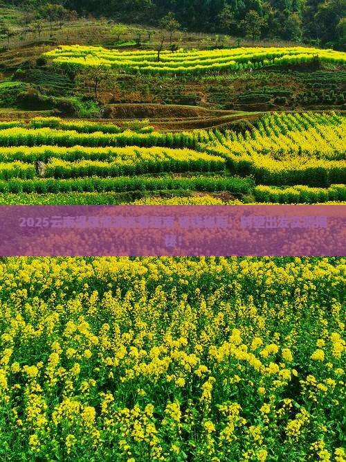 鹤壁去云南温泉旅游
