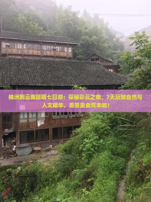 株洲到云南昆明七日游
