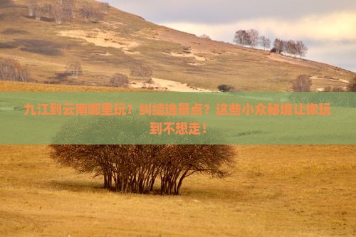 九江到云南哪里玩