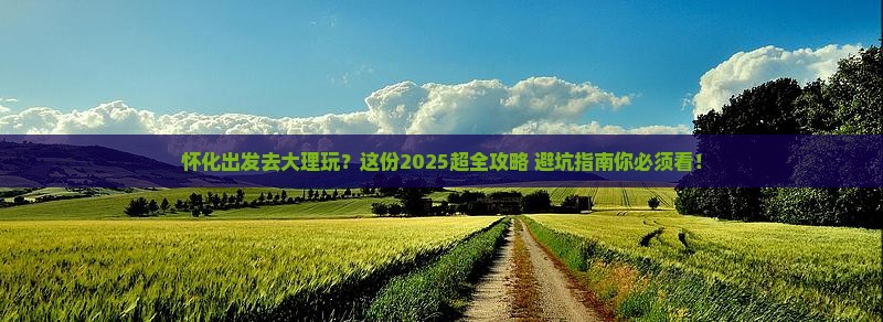 怀化到云南大理个人游