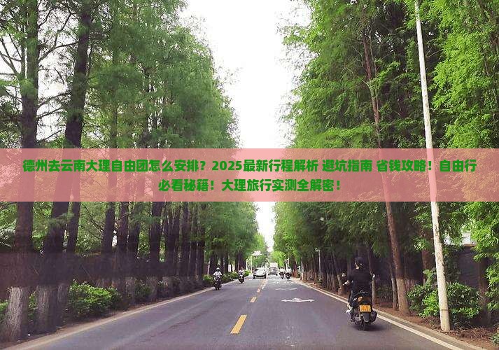 德州去云南大理自由团