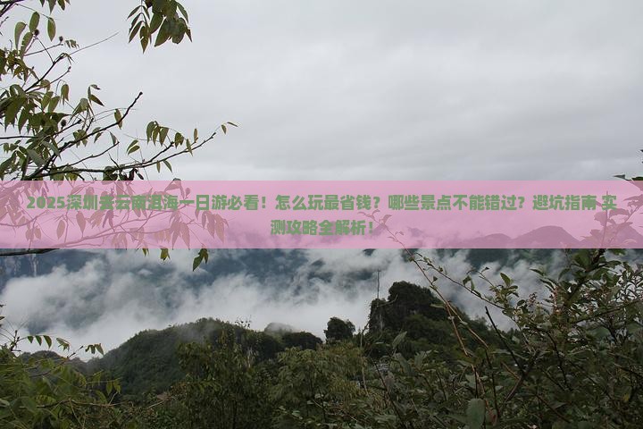 深圳去云南洱海一日