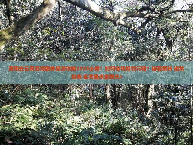渭南去云南洱海团体旅游