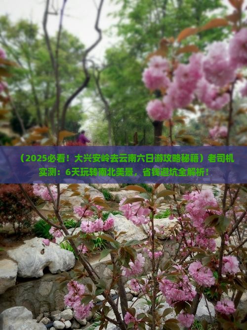 大兴安岭去云南六日游