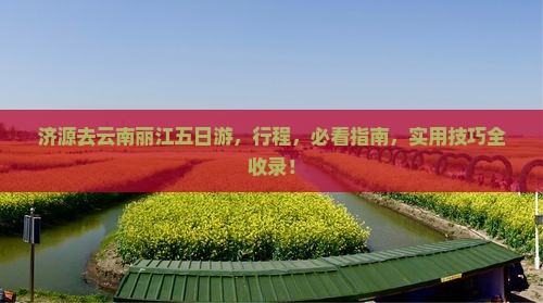 济源去云南丽江五日游