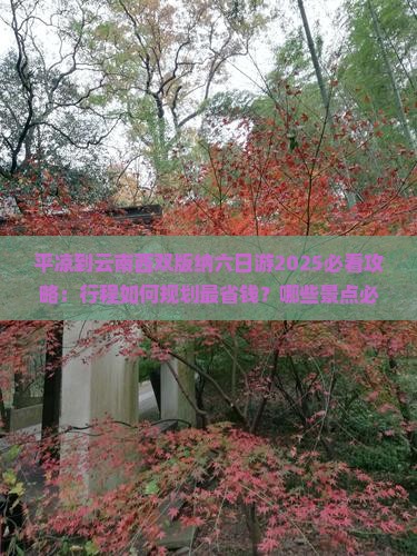 平凉到云南西双版纳六日游
