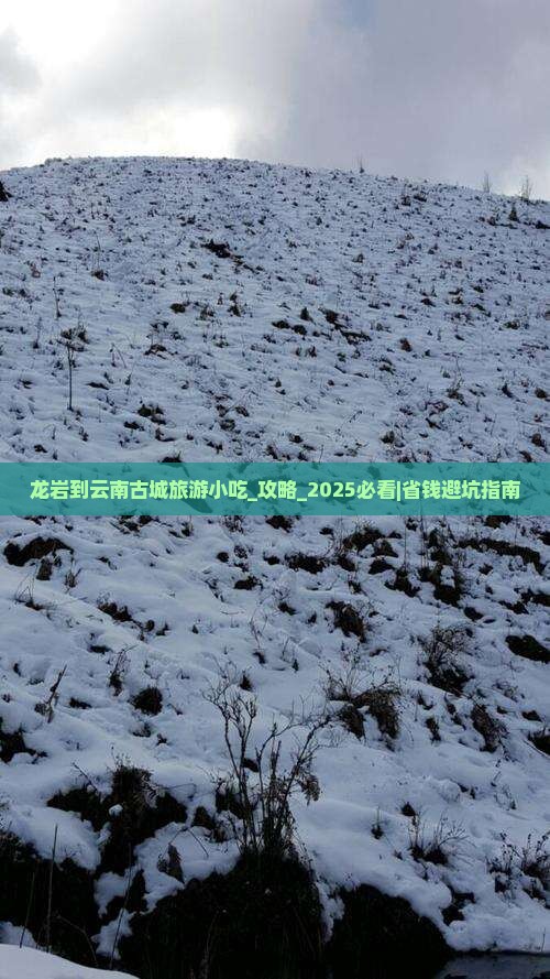 龙岩到云南古城旅游小吃