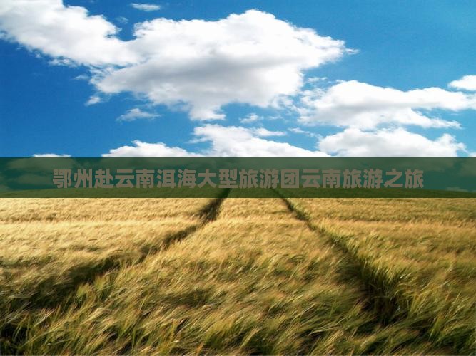 鄂州到云南洱海大型旅游团