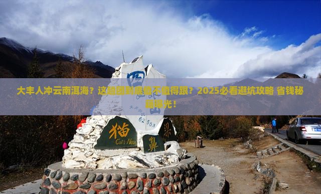 大丰去云南洱海大型旅游团