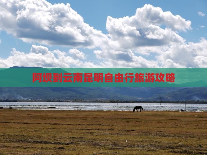 阿坝到云南昆明自由行