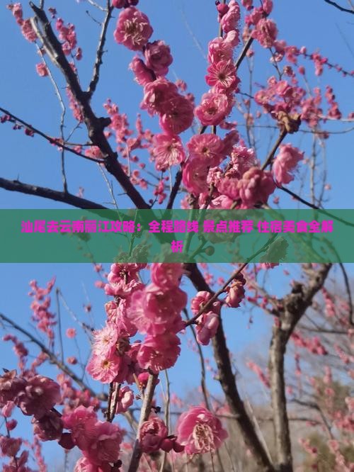 汕尾去云南丽江攻略